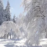 Katrin Spindler Daire *