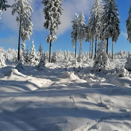 Katrin Spindler 公寓 伊尔梅瑙