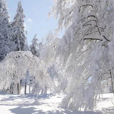Katrin Spindler 아파트 *