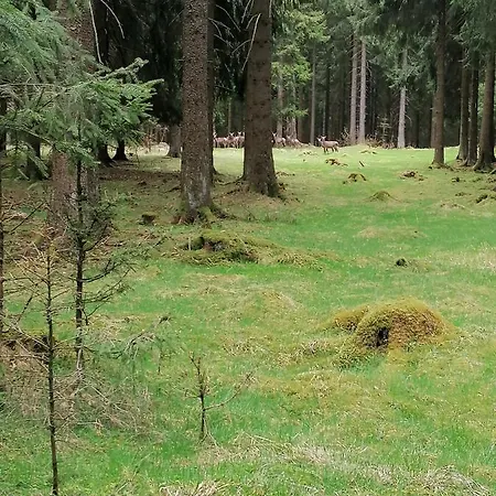 公寓 Katrin Spindler *