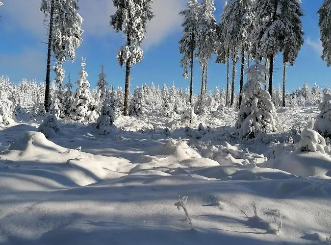 Katrin Spindler Apartment Ilmenau