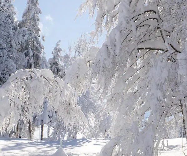 Katrin Spindler Apartment *