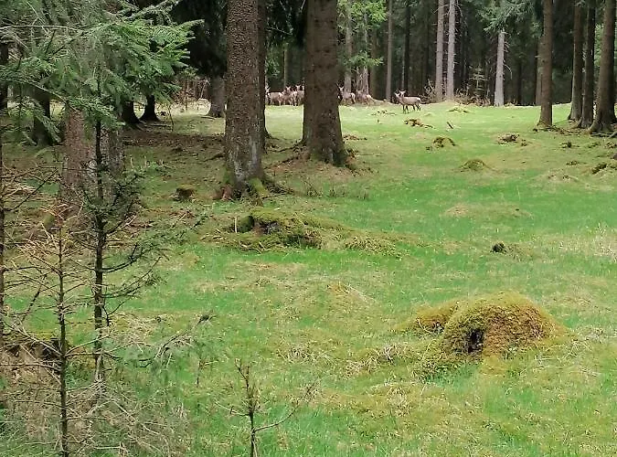 Appartement Katrin Spindler *